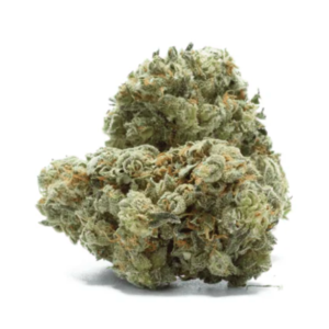 White Rhino