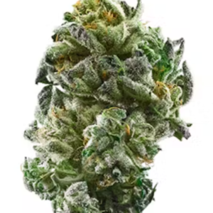 2 Oz – $190 |$460– 4 Oz Flower + Oz SHAKEs